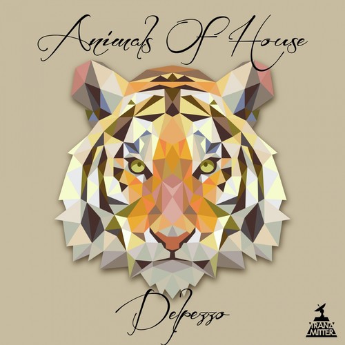 B Side Song Download Animals Of House Vol 1 Song Online