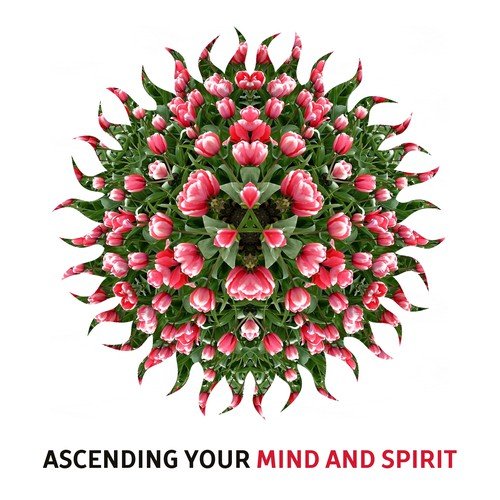 Ascending Your Mind and Spirit – Meditation Music to Calm Inner Spirit, Buddha Lounge, Calming Waves, Zen Garden