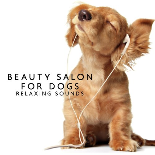 Calming Piano cover art