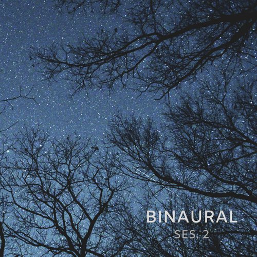 Binaural Beats Isochronic Tones Lab Pt 1 cover art