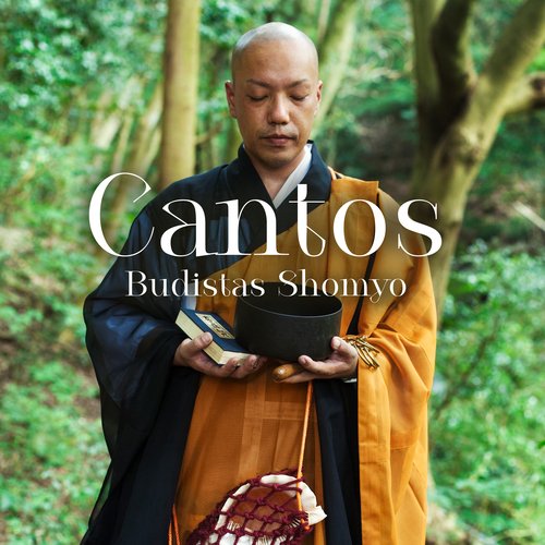 Meditación Budista cover art