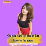 Champa sari toy bataun kar laiyo tu yad gaam