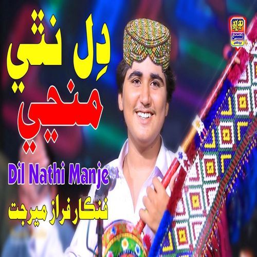 Dil Nathi Manje, Vol. 12