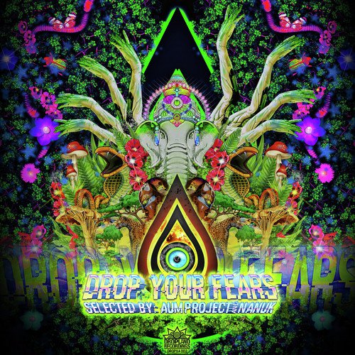 Twelve Moons cover art