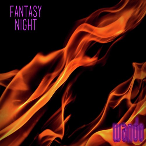 Fantasy Night_poster_image