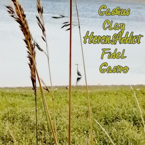 Heron Addict cover art