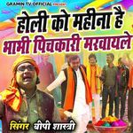 Holi Ko Mahina He Bhabhi Pichkari Marvayle