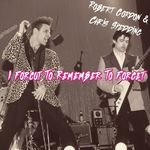 I Forgot to Remember to Forget (Live)