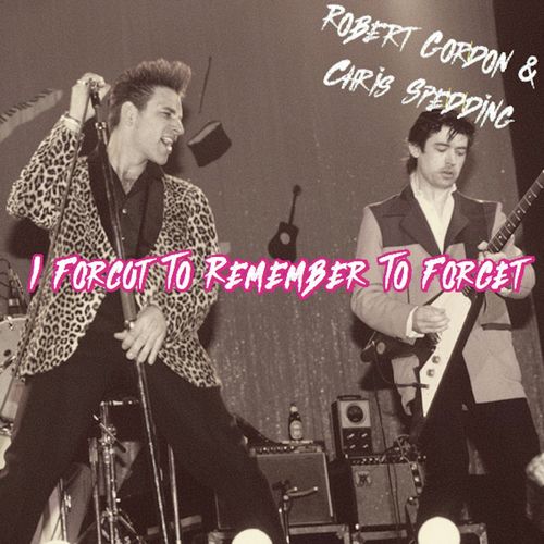 I Forgot to Remember to Forget (Live)_poster_image