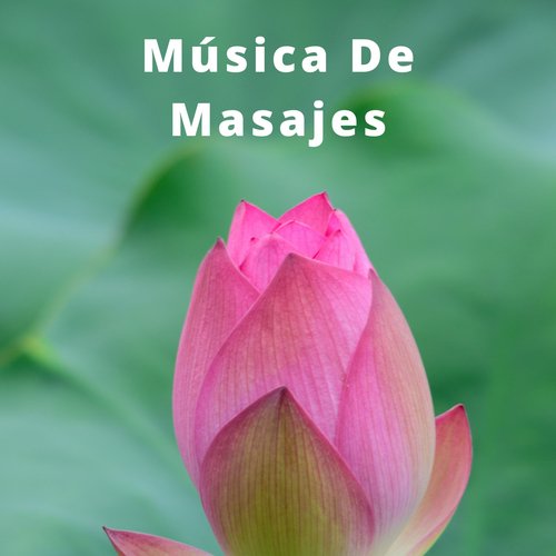 Masaje De Cabeza cover art