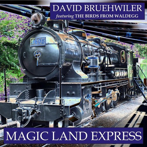Magic Land Express (feat. The Birds from Waldegg)