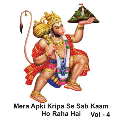 Mera Aapki Kripa Se Sab Kaam Ho Raha Hai, Vol. 4