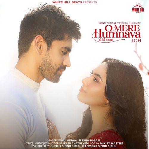 O Mere Humnava (Lofi)_poster_image