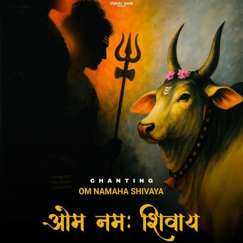 Om Namah Shivay