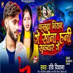 Phulwa Niyan Ge Sona Hani Sukwar Ge