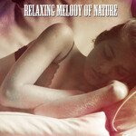 Relaxing Melody Of Nature