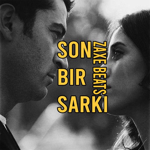 Son Bir Şarkı cover art