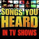 Songs You Heard in TV Shows
