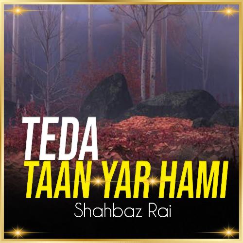 Teda Taan Yar Hami