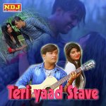 Teri Yaad Satave