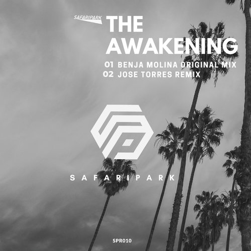The Awakening (Jose Torres Remix) cover art