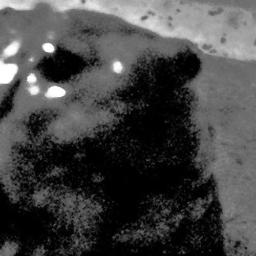 Covered with Slime as Decoration