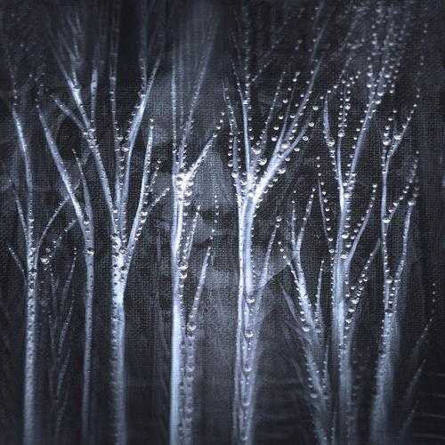 Twigs