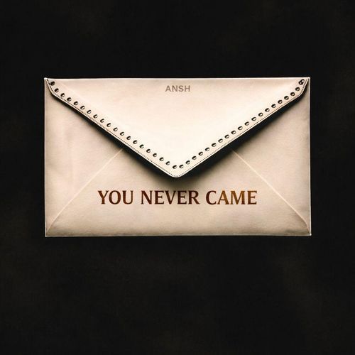You Never Came