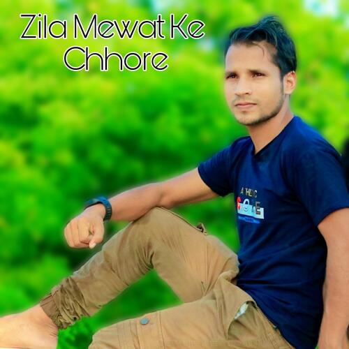 Zila Mewat Ke Chhore