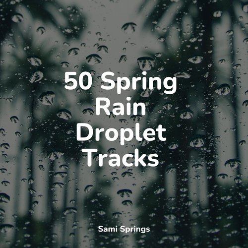 50 Peaceful Ambient Rain Sounds_poster_image