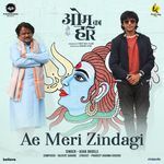 Ae Meri Zindagi (From "Om Ka Hari")