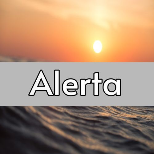 Alerta cover art