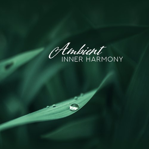 Relaxing Bath cover art