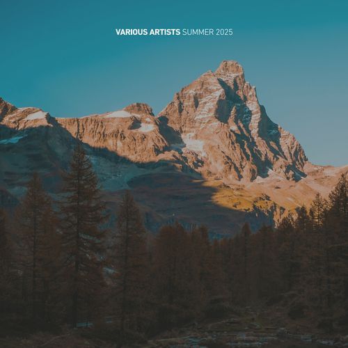 Best of 3rd Avenue | Summer 2025