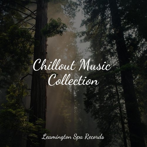 Music for Meditation cover art