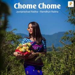 Chome Chome-ISwIdyMGT2U