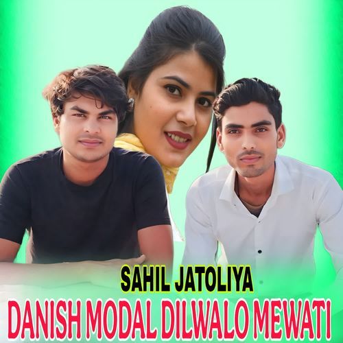 DANISH MODAL DILWALO MEWATI