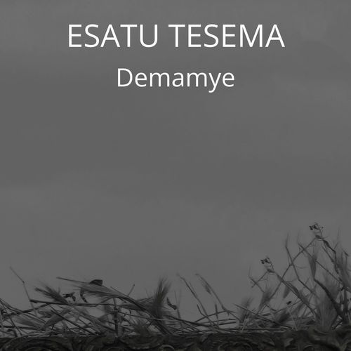 Yiker Aynesa cover art