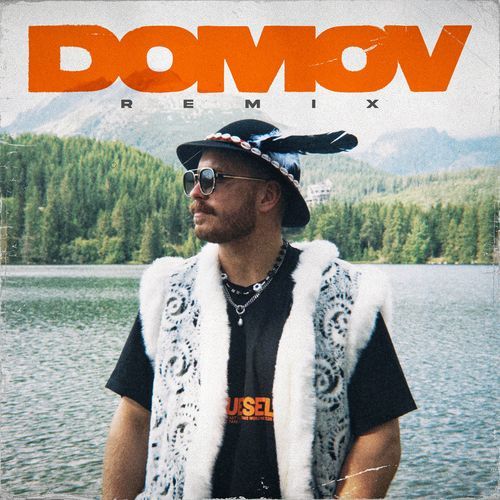 Domov (Remix) cover art