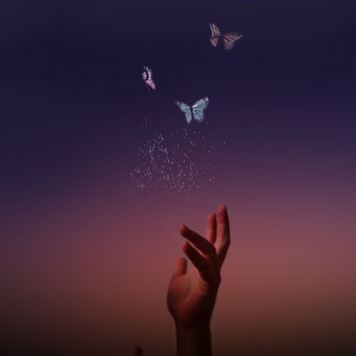 Dream Home cover art