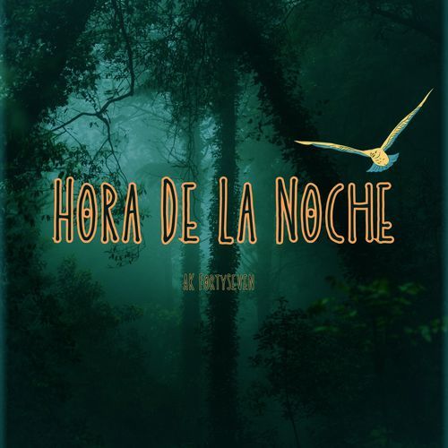 Hora De La Noche_poster_image