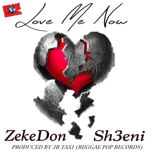 Love Me Now (feat. Sh3eni)_poster_image