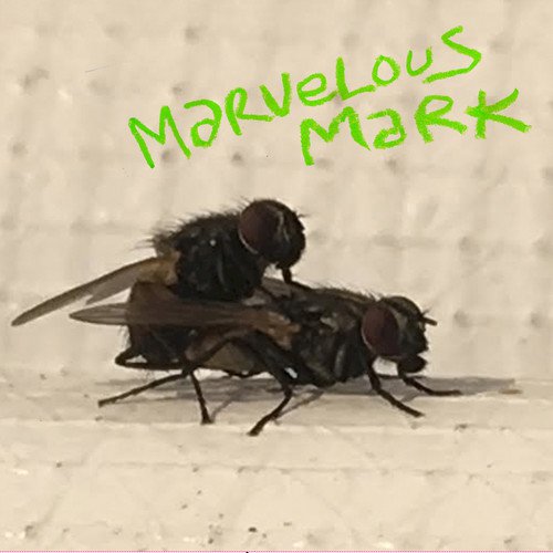 Marvelous Mark - Buzzin' LP