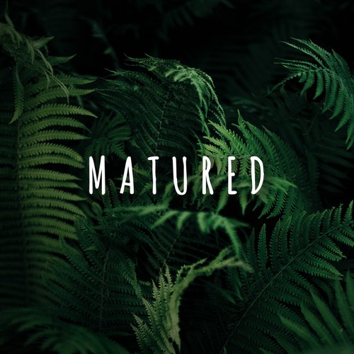 Rain Drops For Sleep cover art