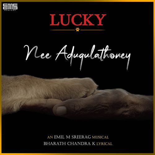 Nee Adugulathoney (From "Lucky")	