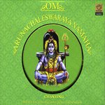 Om Arunachaleswaraya Namaha [Lord Shiva]