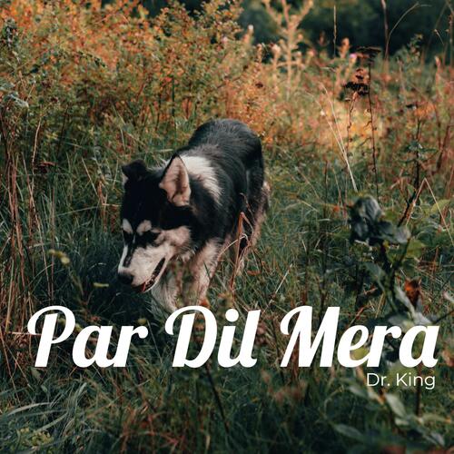 Pr Dil Mera