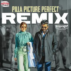 Pilla Picture Perfect Official Remix