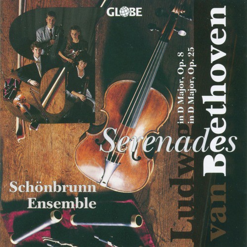Serenade for Flute, Violin and Viola in D Major, Op. 25: IV. Andante con variazioni
