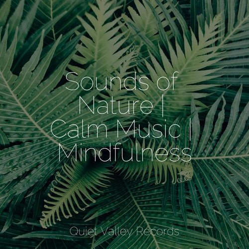 Sounds of Nature | Calm Music | Mindfulness_poster_image